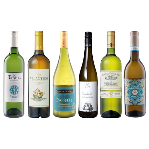 【送料当社負担】春の食材に合わせて楽しみたい白ワイン6本セット