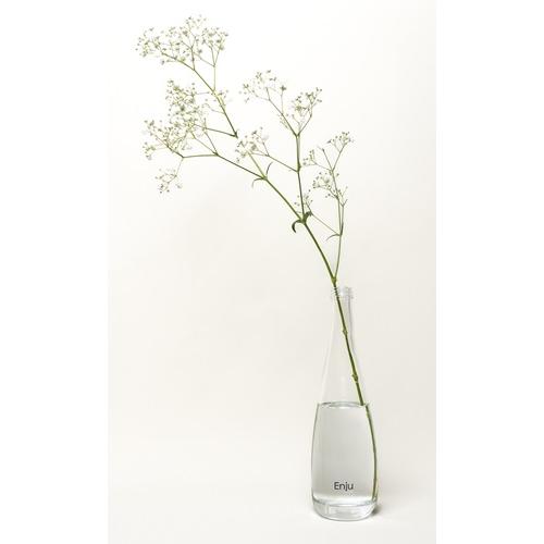 ＜Ichido＞Enju TSUTSUJI