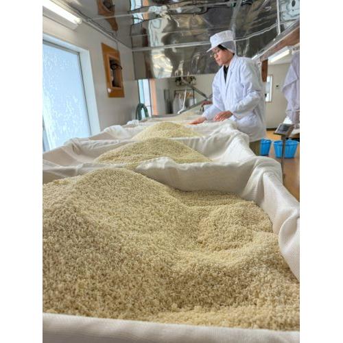 ＜Ichido＞Enju TSUTSUJI