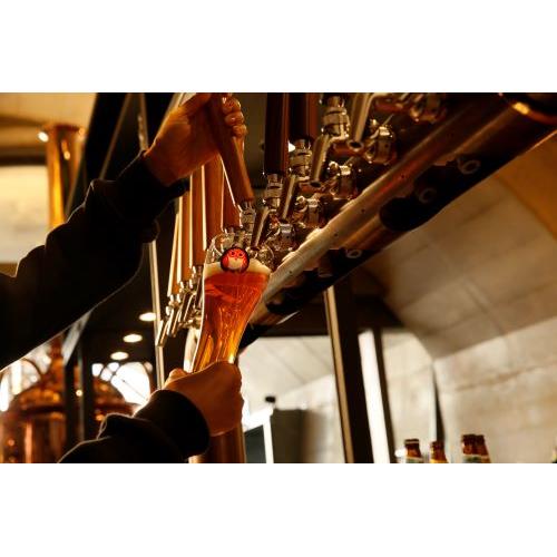 ＜木内酒造＞常陸野ネストノン・エール入り飲みくらべ8本セット