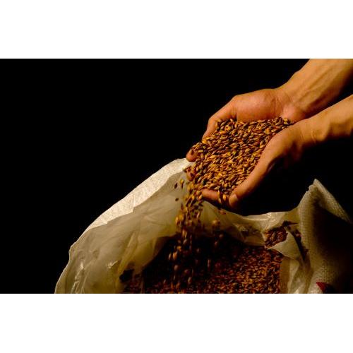 ＜山口地ビール＞山口地ビール6本セット