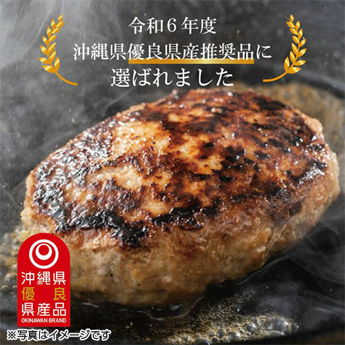 南ぬ豚 生ハンバーグ 6個セット