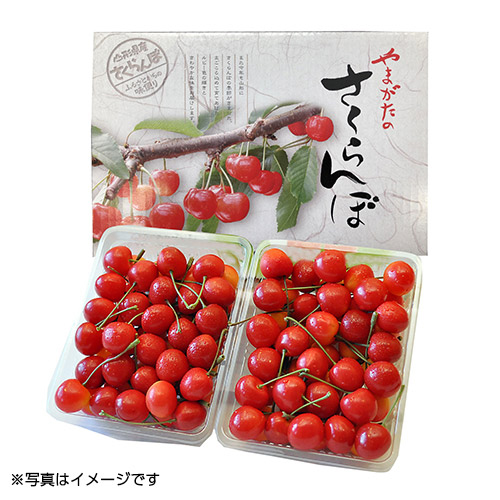 山形県産　紅秀峰600g【受注締め切り日：2026/6/20】