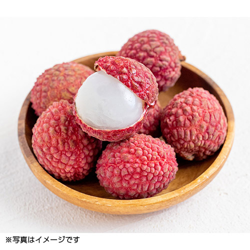 ＜宮崎県産＞生ライチ（8～12玉）【受注締め切り日：2026/7/10】