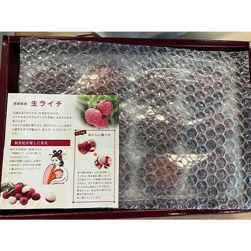 ＜宮崎県産＞生ライチ（8～12玉）【受注締め切り日：2026/7/10】