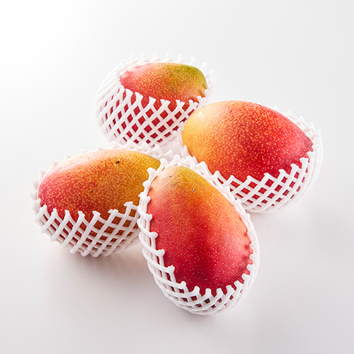 宮崎県ご自宅用マンゴー2kg【受注締め切り日：2026/6/20】