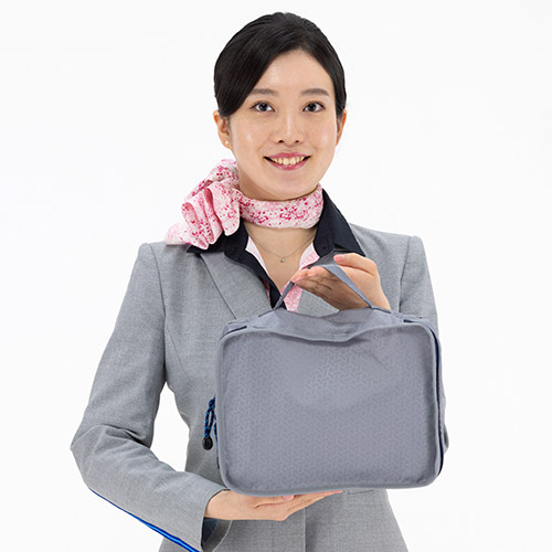 ＜ANA FINDS＞Traveler　ポーチ