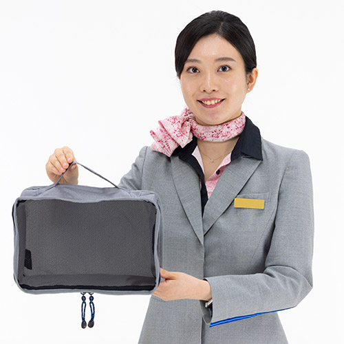 ＜ANA FINDS＞Traveler　オーガナイザーケースM