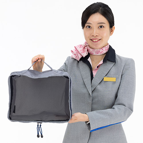 ＜ANA FINDS＞Traveler　オーガナイザーケースL