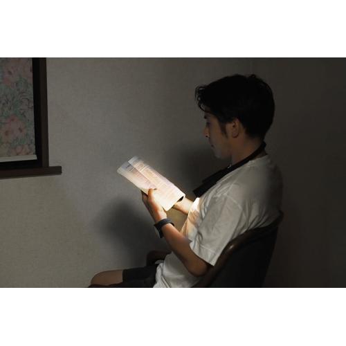 ＜dretec＞ドリテック　首かけライト