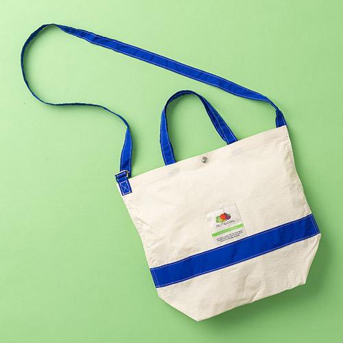 ＜FRUIT OF THE LOOM×Begin×ANA＞ナイロントート（ブルー）