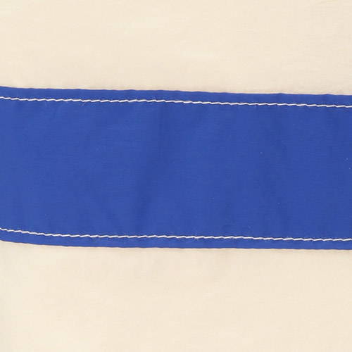 ＜FRUIT OF THE LOOM×Begin×ANA＞ナイロントート（ブルー）