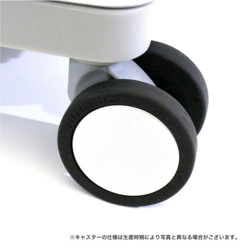 ＜TRIDENT＞アルミ調フレームスーツケース 33L TRI1030-48