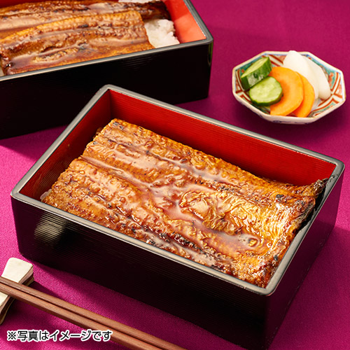 【希少品】鹿児島県産　特大鰻2尾