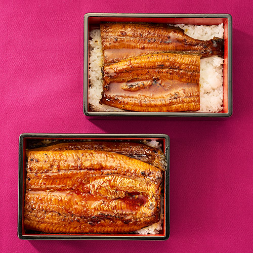 【希少品】鹿児島県産　特大鰻2尾