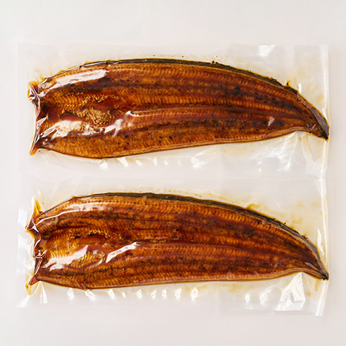 【希少品】鹿児島県産　特大鰻2尾