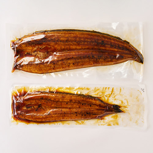 【希少品】鹿児島県産　特大鰻2尾