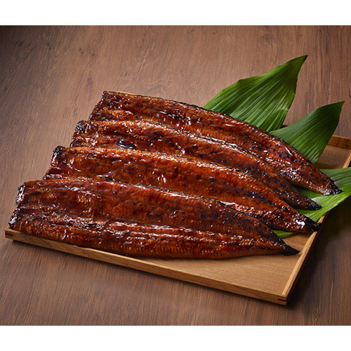 【希少品】鹿児島県産　特大鰻2尾