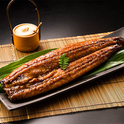 【希少品】鹿児島県産　特大鰻2尾