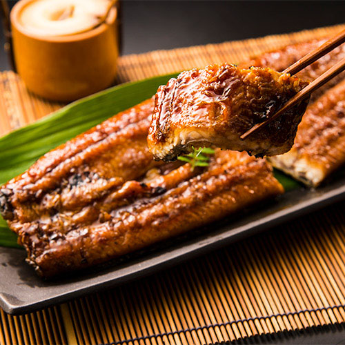 【希少品】鹿児島県産　特大鰻2尾