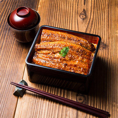 【希少品】鹿児島県産　特大鰻2尾