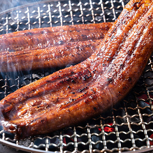 【希少品】鹿児島県産　特大鰻2尾