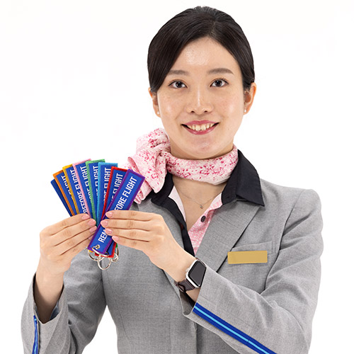 ＜ANAオリジナル＞就航地フライトタグ　近畿エリア