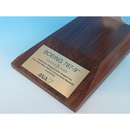 NH14419 1:144 787-9 JA936A GEエンジンソリッドモデル