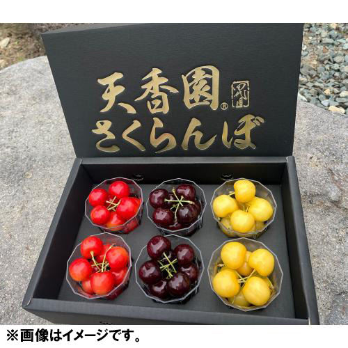 ★10セット限定★＜山形県産＞【天香園】幻のさくらんぼ2種＆元祖月山錦（R）特別セット【受注締め切り日：2026/6/30】