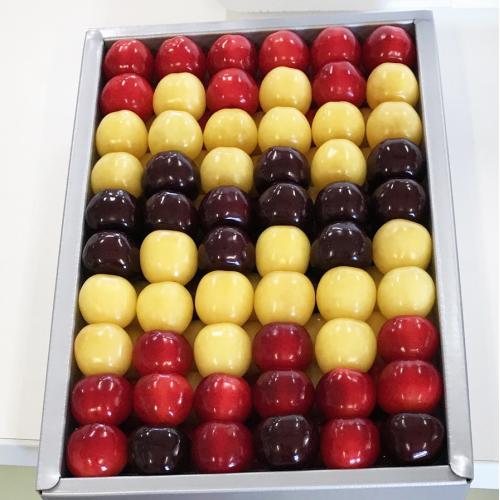 ★5セット限定★＜山形県産＞【天香園】さくらんぼアート500g【受注締め切り日：2026/6/30】