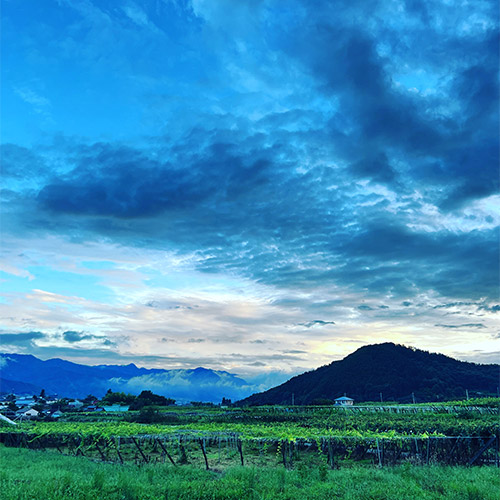 【送料当社負担】＜キスヴィン＞ANAオリジナルブレンド甲州＆甲州スパークリング2本セット