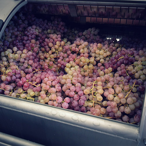 【送料当社負担】＜キスヴィン＞ANAオリジナルブレンド甲州＆甲州スパークリング2本セット