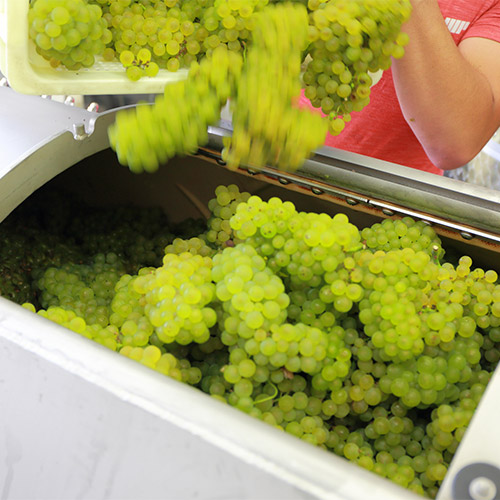 【送料当社負担】＜キスヴィン＞ANAオリジナルブレンドが入った甲州＆シャルドネ飲み比べ3本セット