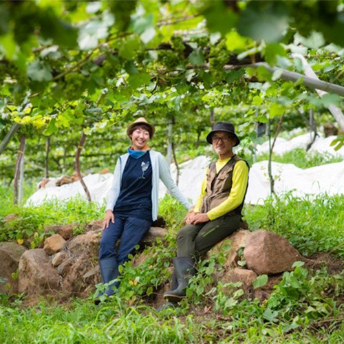 【送料当社負担】＜キスヴィン＞ANAオリジナルブレンドが入った甲州＆シャルドネ飲み比べ3本セット