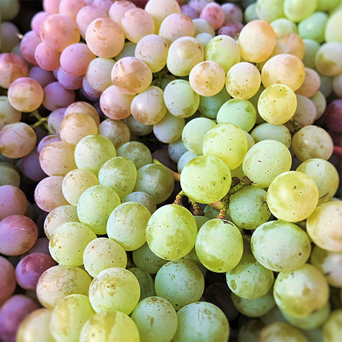 【送料当社負担】＜キスヴィン＞ANAオリジナルブレンドが入った甲州＆シャルドネ飲み比べ3本セット