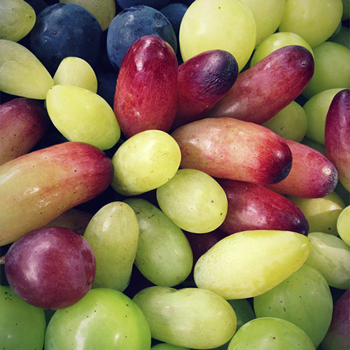 【送料当社負担】＜キスヴィン＞ANAオリジナルブレンドが入った甲州＆シャルドネ飲み比べ3本セット