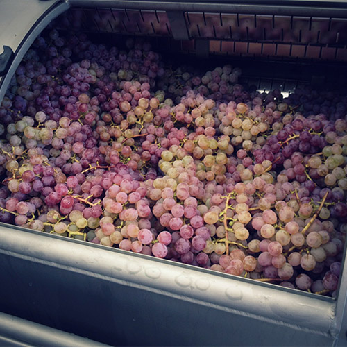 【送料当社負担】＜キスヴィン＞ANAオリジナルブレンドが入った甲州＆シャルドネ飲み比べ3本セット