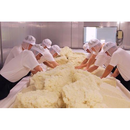 ＜一ノ蔵＞四段仕込特別純米