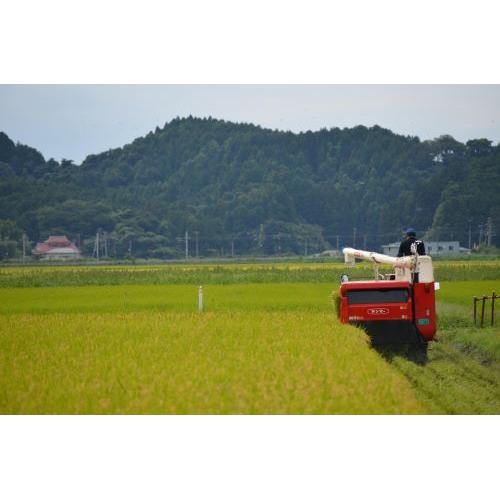 ＜一ノ蔵＞四段仕込特別純米