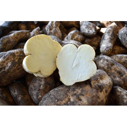 ＜落合酒造場＞蒼い永劫原酒