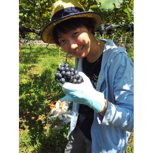 ＜キスヴィン＞甲州スパークリング【2024】(スパークリング)