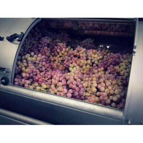 ＜キスヴィン＞甲州スパークリング【2024】(スパークリング)