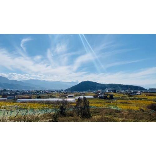 ＜キスヴィン＞甲州スパークリング【2024】(スパークリング)