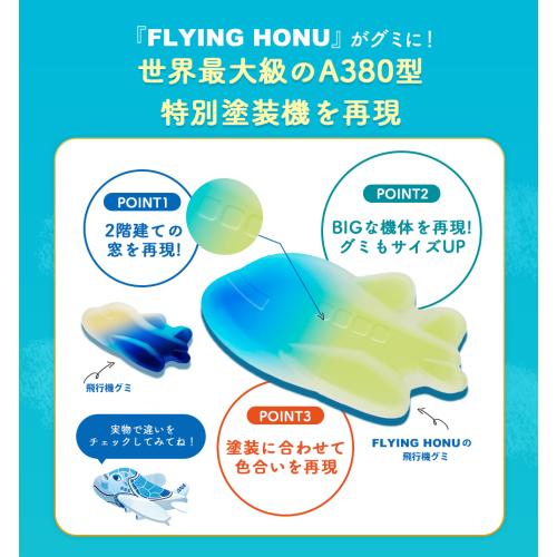 ＜ANA FINDELISH＞青組（あおグミ）FLYING HONU -フライングホヌ-　10袋セット