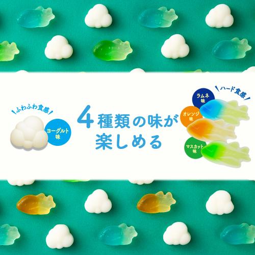 ＜ANA FINDELISH＞青組（あおグミ）FLYING HONU -フライングホヌ-　10袋セット