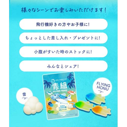＜ANA FINDELISH＞青組（あおグミ）FLYING HONU -フライングホヌ-　10袋セット