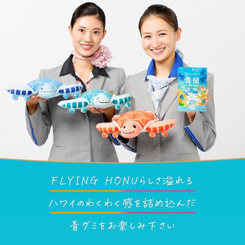 ＜ANA FINDELISH＞青組（あおグミ）FLYING HONU -フライングホヌ-　10袋セット