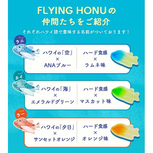 ＜ANA FINDELISH＞青組（あおグミ）FLYING HONU-フライングホヌ-　20袋セット