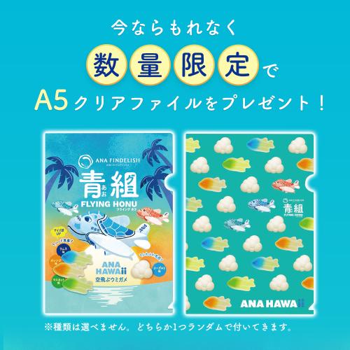 ＜ANA FINDELISH＞青組（あおグミ）FLYING HONU-フライングホヌ-　20袋セット