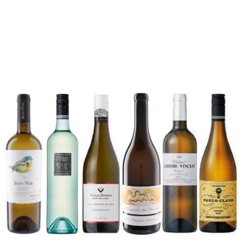 【送料当社負担】＜A-styleソムリエ厳選＞世界のソーヴィニヨン・ブランを堪能6本セット